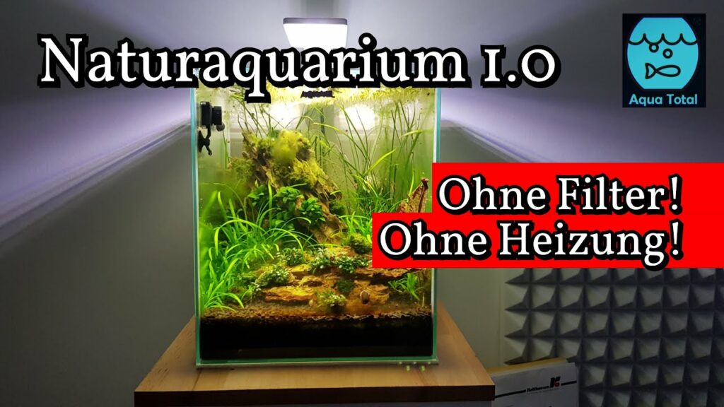 Kann Ein Aquarium Ohne Filter Betrieben Werden?